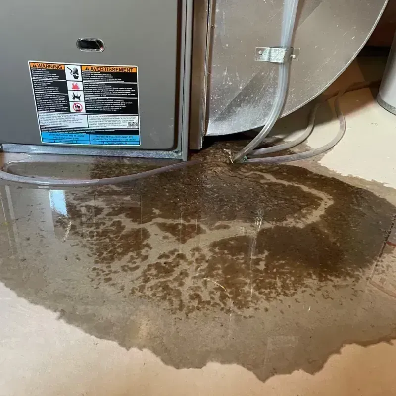 Appliance Leak Cleanup in Santa Clarita, CA